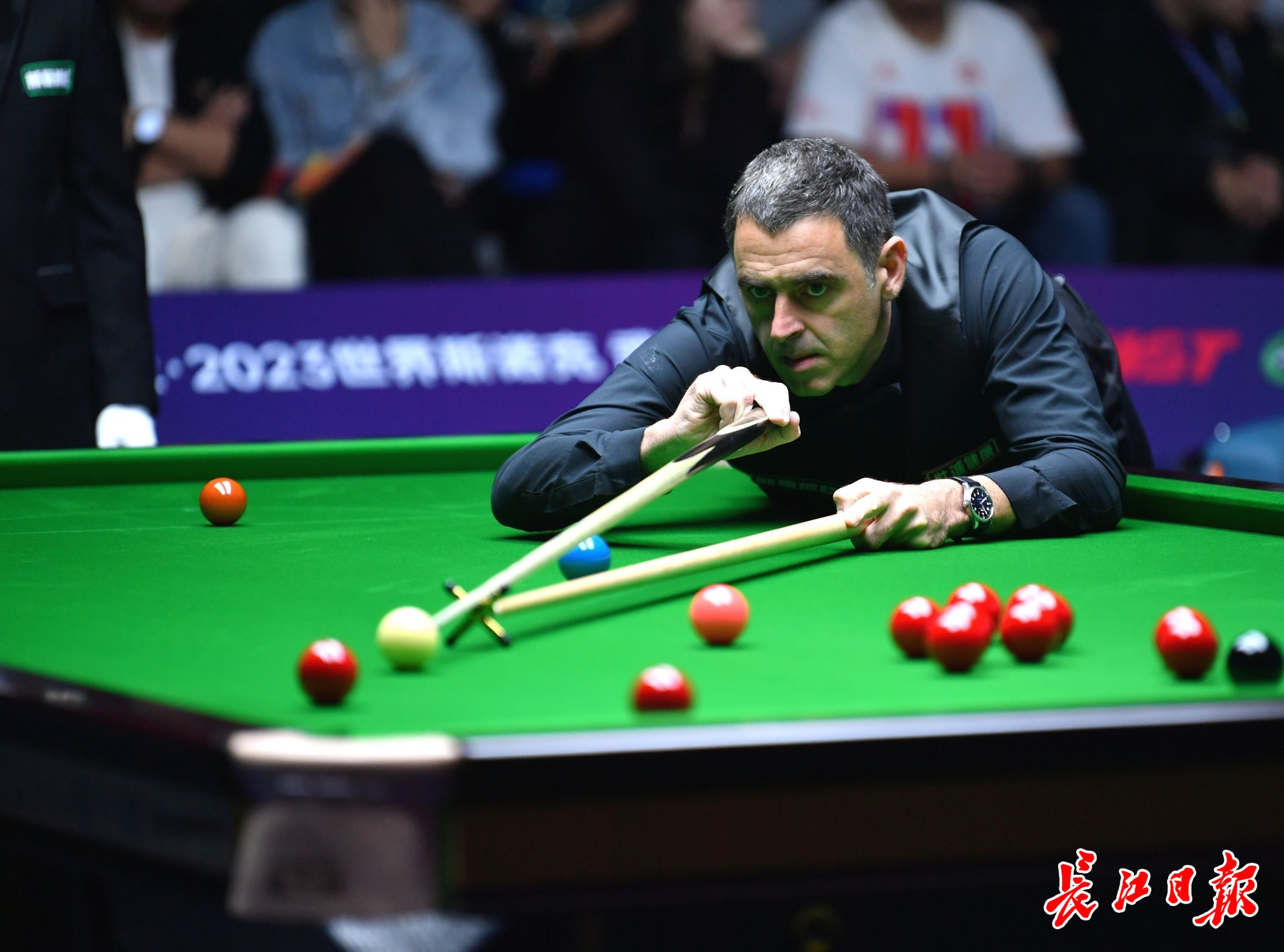 份称号提供 份称号提供